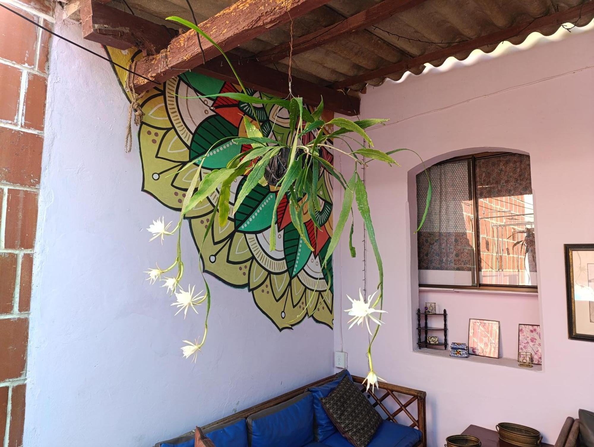 Casa Vieja Guest House Санта-Ана Екстер'єр фото